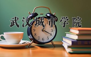 武汉城市学院王牌专业排名-含2025年全国各省录取最低分数线