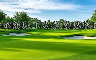 哈尔滨理工大学(荣成校区)学费多少钱一年：3500-10000元/年（2025填报参考）