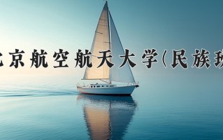2024年北京航空航天大学(民族班)录取分数线，宁夏最低594分