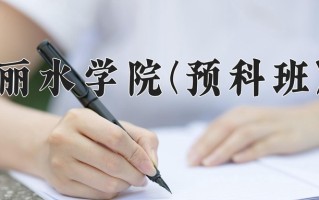 2024丽水学院(预科班)录取分数线，重庆录取最低分489