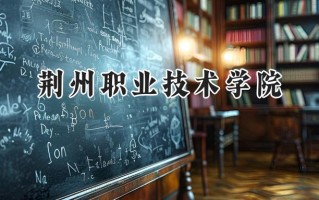 荆州职业技术学院2024在青海录取分数线是多少？最低185分/最高314分