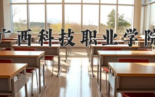 2024年广西科技职业学院录取分数线，宁夏最低333分