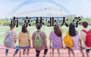 包装工程专业学费多少？附江苏2024年招收的大学