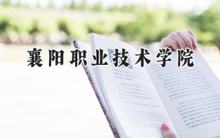 襄阳职业技术学院2024在浙江录取分数线是多少？最低451分/最高536分