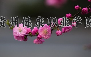 2024年贵州健康职业学院录取分数线，河北最低393分