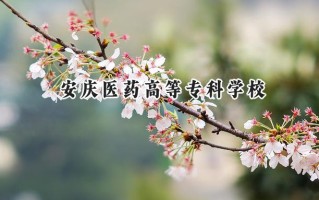 2024安庆医药高等专科学校录取分数线：陕西最低374分