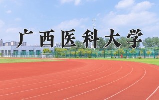 2024广西医科大学录取分数线，重庆录取最低分498