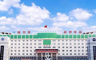 2024年哈尔滨剑桥学院录取分数线，新疆最低262分