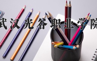 2024武汉光谷职业学院录取分数线：浙江最低336分