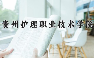 2024贵州护理职业技术学院录取分数线，重庆录取最低分377
