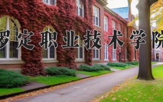 2024年罗定职业技术学院录取分数线，河北最低300分