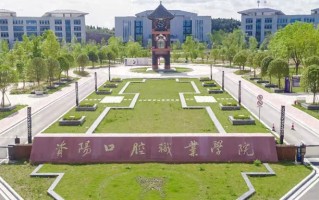 2024资阳口腔职业学院录取分数线：浙江最低458分