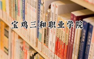 宝鸡三和职业学院2024在浙江录取分数线是多少？最低321分/最高369分
