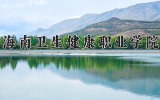 2024海南卫生健康职业学院录取分数线，重庆录取最低分401