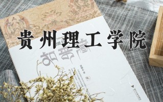 2024贵州理工学院录取分数线，重庆录取最低分494