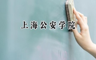 上海公安学院2024在上海录取分数线是多少？最低467分/最高499分