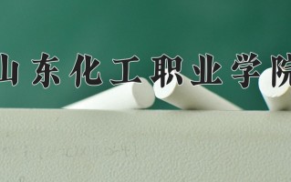 2024年山东化工职业学院录取分数线，宁夏最低332分