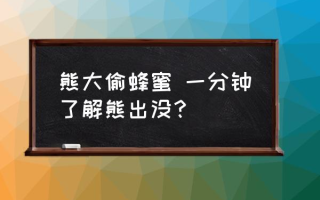 熊大偷蜂蜜 一分钟了解熊出没？