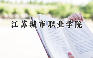 2024江苏城市职业学院录取分数线：江苏最低396分