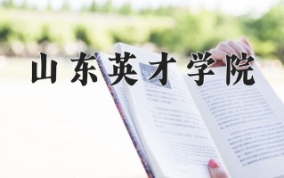 宁夏428分能上什么大学？附2025年可以报考的大学名单
