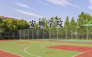 2024安顺学院录取分数线：河南最低421分