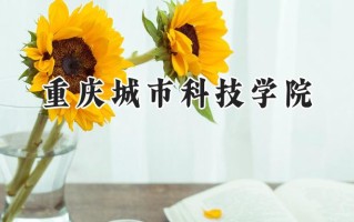 2024重庆城市科技学院录取分数线：陕西最低429分