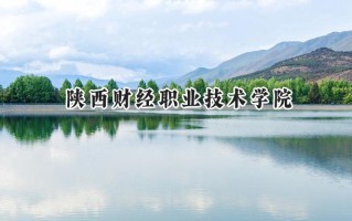2024陕西财经职业技术学院录取分数线：山西最低361分