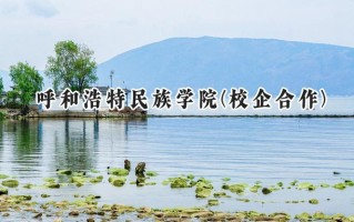 呼和浩特民族学院(校企合作)2024在内蒙古录取分数线是多少？最低392分/最高408分