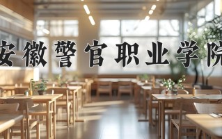 2024安徽警官职业学院录取分数线：浙江最低492分