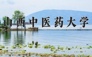 山西中医药大学最厉害的专业-2024山西中医药大学最好专业