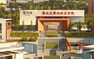 2024攀枝花攀西职业学院录取分数线：浙江最低281分