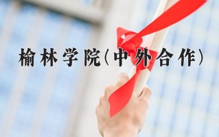 榆林学院(中外合作)学费多少钱一年：26000-28000元/年（2025填报参考）