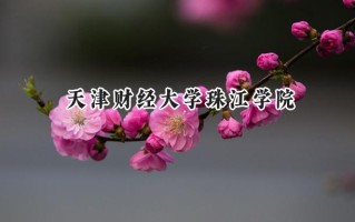 2024天津财经大学珠江学院录取分数线：陕西最低431分