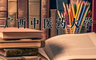 2024广西中医药大学录取分数线：浙江最低480分