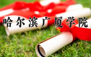 哈尔滨广厦学院学费多少钱一年：25800-28800元/年（2025填报参考）