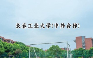 2024长春工业大学(中外合作)录取分数线：河南最低504分