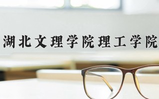 2024年湖北文理学院理工学院录取分数线，青海最低240分