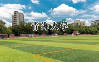 青海大学2024在山东录取分数线是多少？最低537分/最高590分