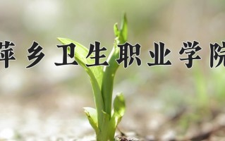 2024年萍乡卫生职业学院录取分数线，青海最低287分