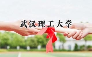 2024武汉理工大学录取分数线：河南最低581分