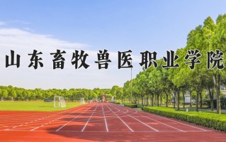 2024山东畜牧兽医职业学院录取分数线：浙江最低435分