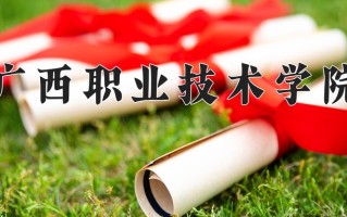 2024年广西职业技术学院录取分数线，新疆最低199分