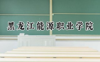 黑龙江能源职业学院2024在山东录取分数线是多少？最低363分/最高390分