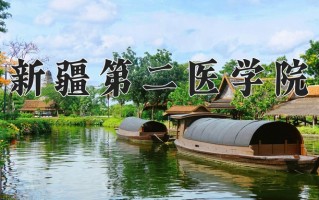 2024新疆第二医学院录取分数线，重庆录取最低分486