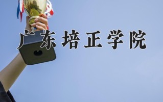 广东培正学院最厉害的专业-2024广东培正学院最好专业