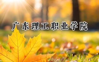 2024广东理工职业学院录取分数线：河南最低351分