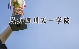 2024民办四川天一学院录取分数线：河南最低212分