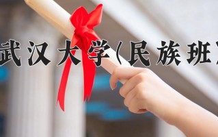 2024年武汉大学(民族班)录取分数线，宁夏最低507分