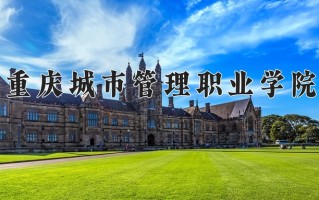 2024重庆城市管理职业学院录取分数线，重庆录取最低分419