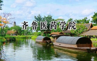 2024齐鲁医药学院录取分数线：宁夏最低339分
